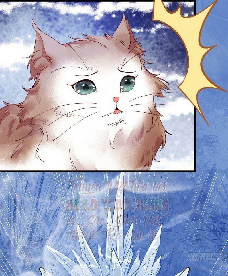 Sát Thủ Vương Phi Không Dễ Chọc Chapter 44 11