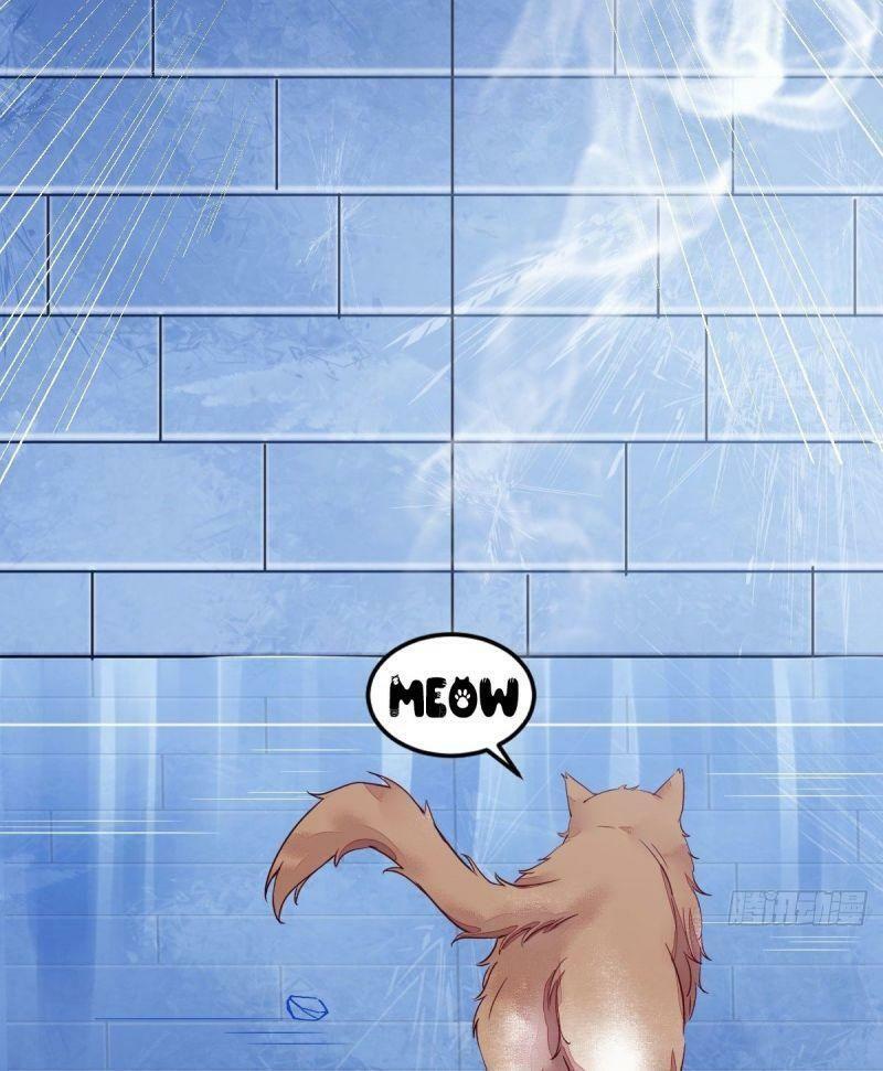 Sát Thủ Vương Phi Không Dễ Chọc Chapter 44 13