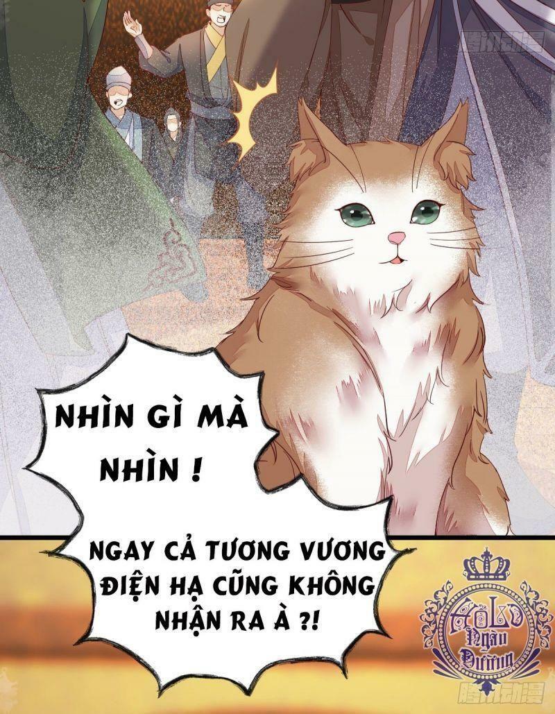 Sát Thủ Vương Phi Không Dễ Chọc Chapter 44 40
