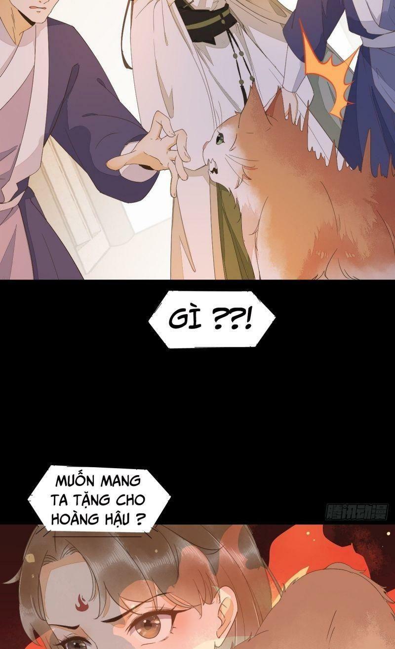 Sát Thủ Vương Phi Không Dễ Chọc Chapter 44 51