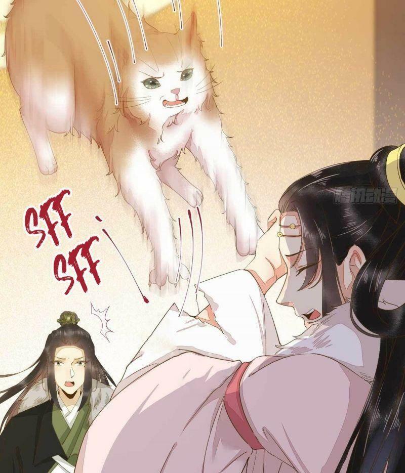 Sát Thủ Vương Phi Không Dễ Chọc Chapter 45 - Next Chapter 46