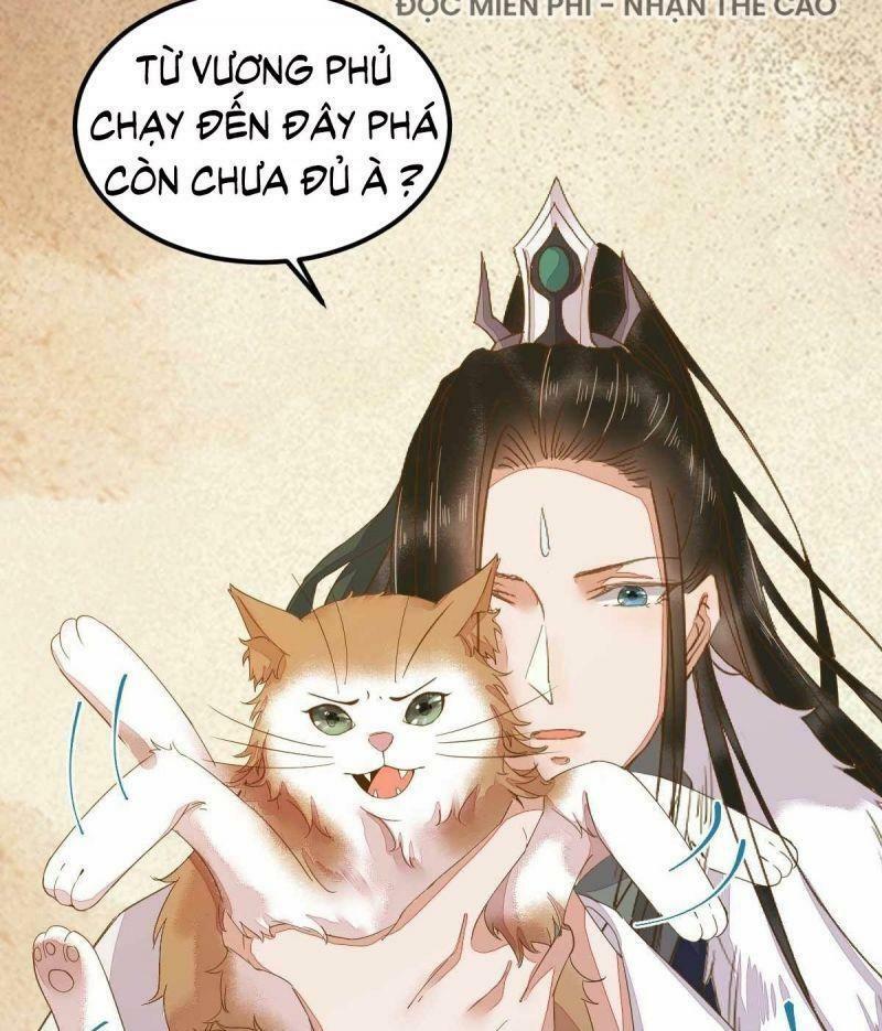 Sát Thủ Vương Phi Không Dễ Chọc Chapter 45 - Next Chapter 46