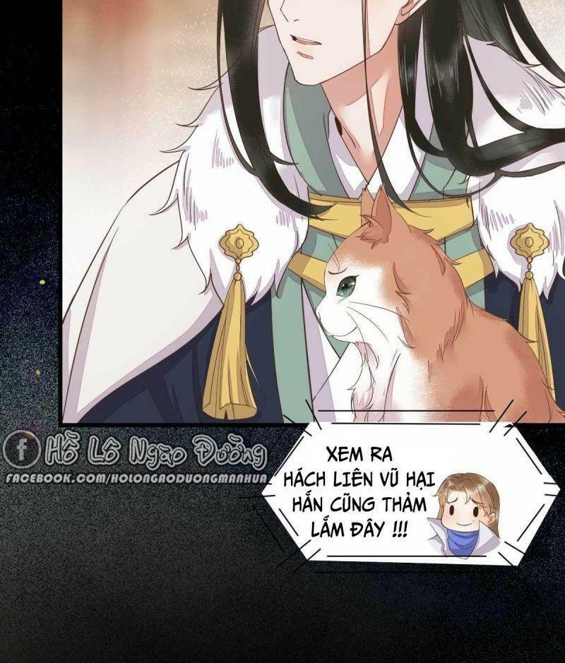 Sát Thủ Vương Phi Không Dễ Chọc Chapter 45 - Next Chapter 46