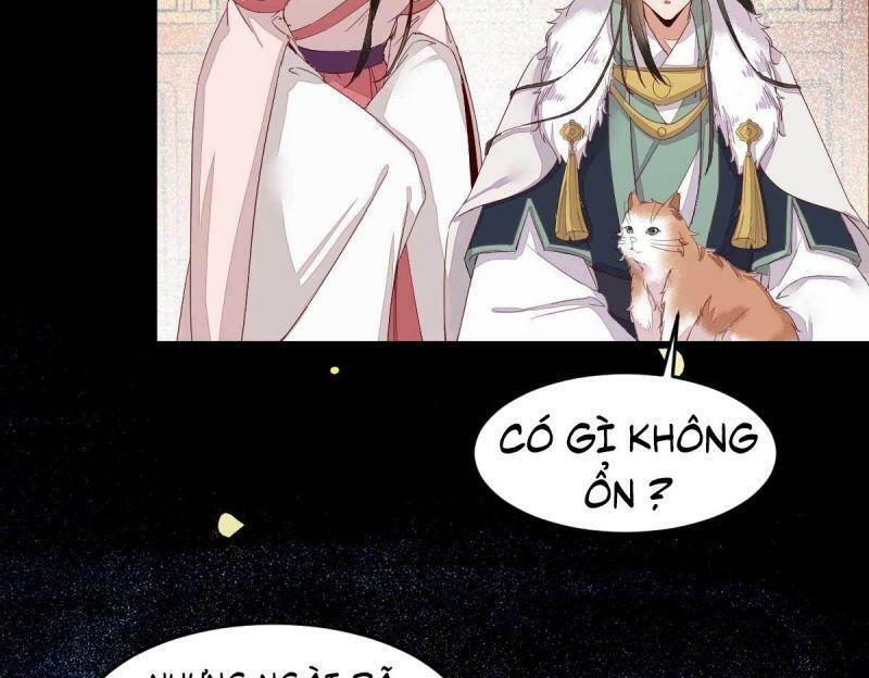 Sát Thủ Vương Phi Không Dễ Chọc Chapter 45 - Next Chapter 46