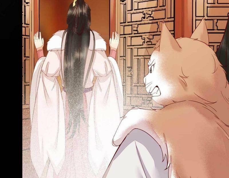 Sát Thủ Vương Phi Không Dễ Chọc Chapter 45 - Next Chapter 46