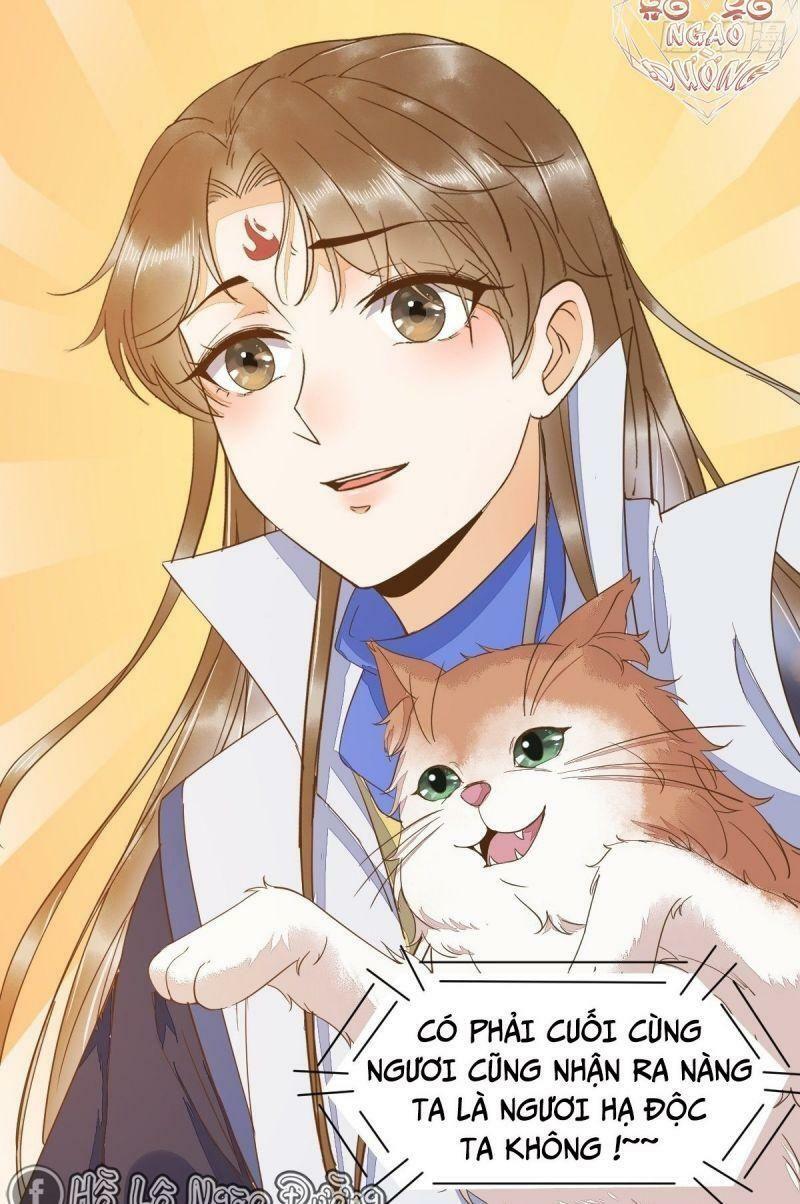 Sát Thủ Vương Phi Không Dễ Chọc Chapter 46 - Next Chapter 47