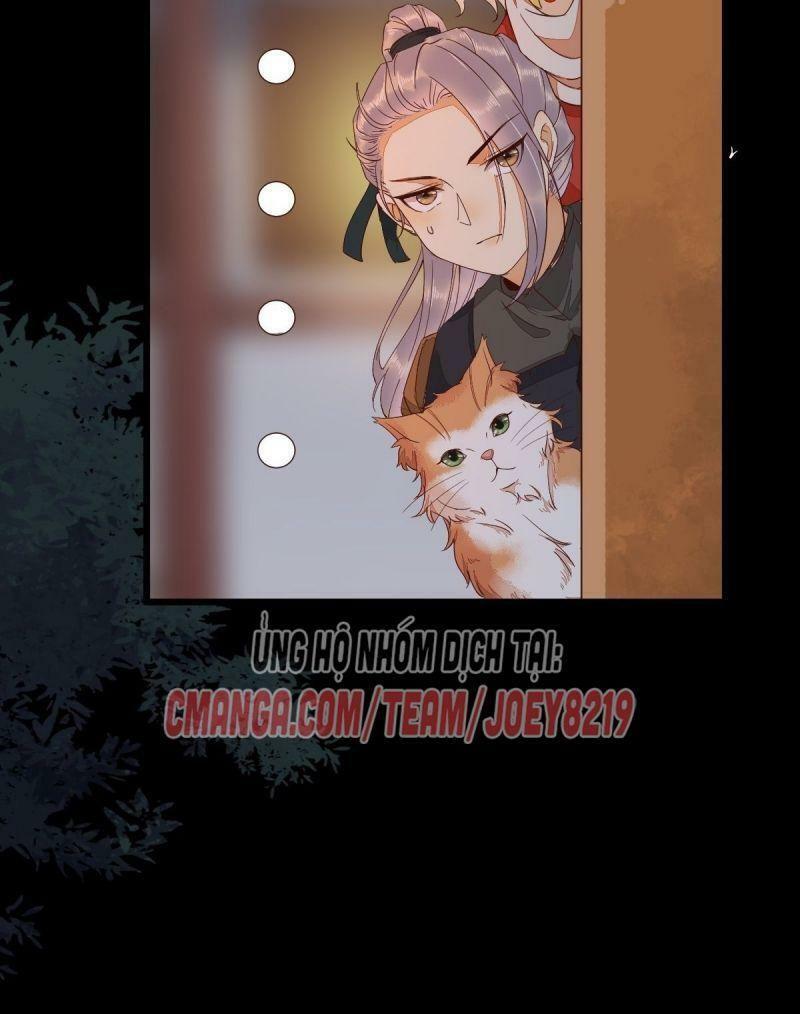 Sát Thủ Vương Phi Không Dễ Chọc Chapter 46 - Next Chapter 47