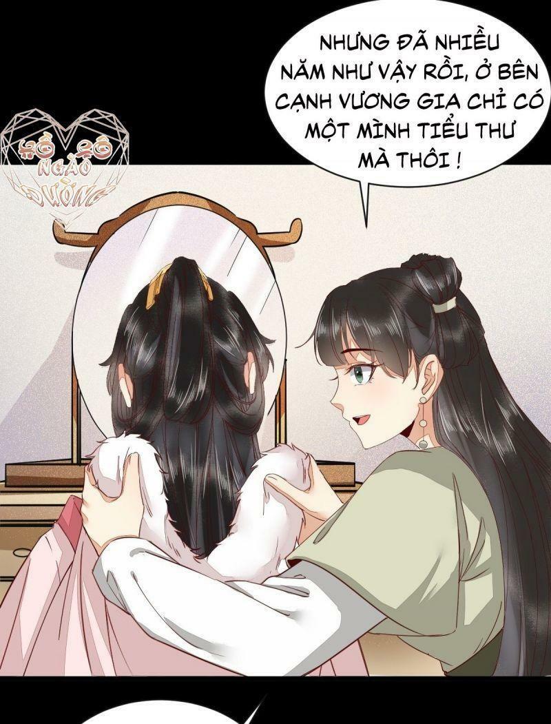 Sát Thủ Vương Phi Không Dễ Chọc Chapter 46 - Next Chapter 47