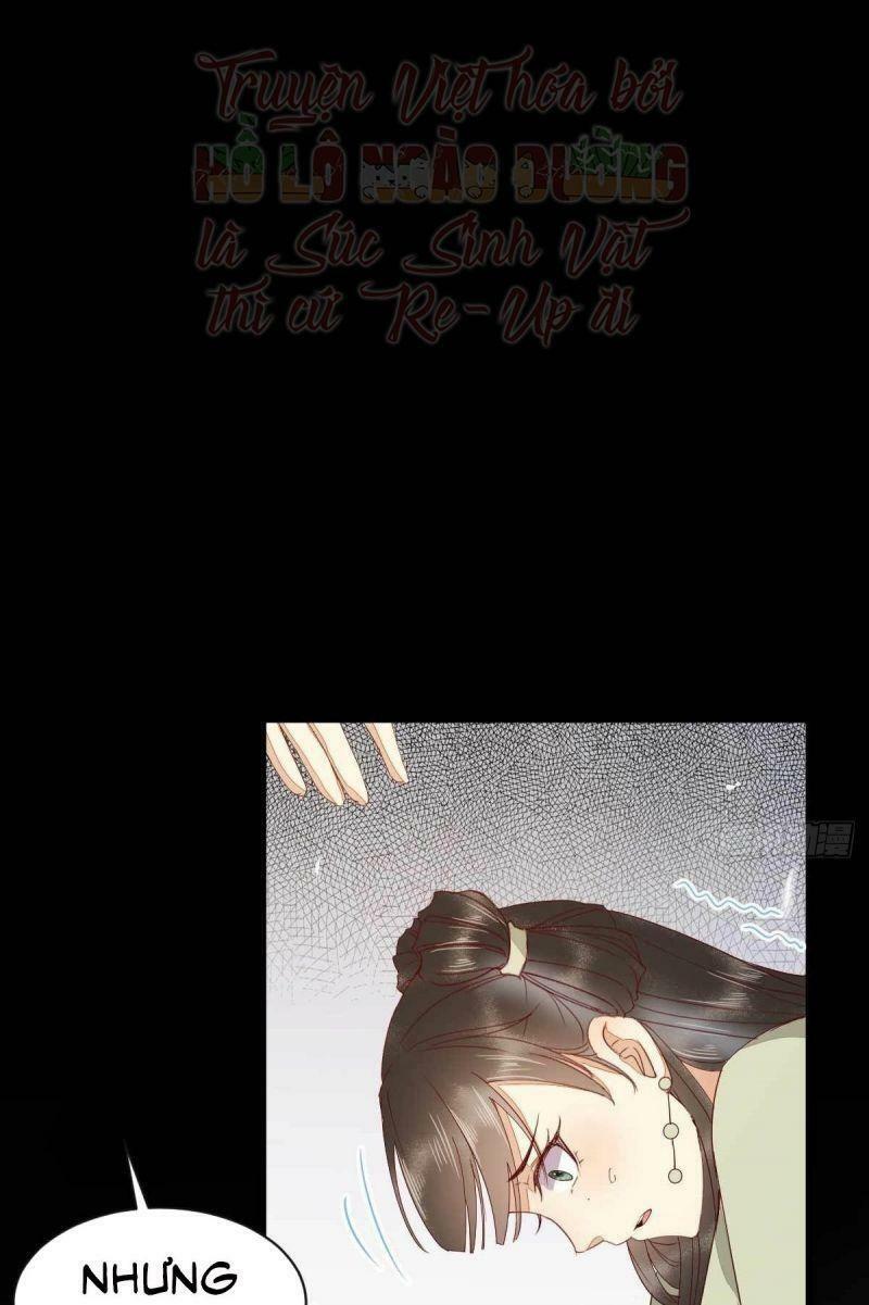 Sát Thủ Vương Phi Không Dễ Chọc Chapter 46 - Next Chapter 47