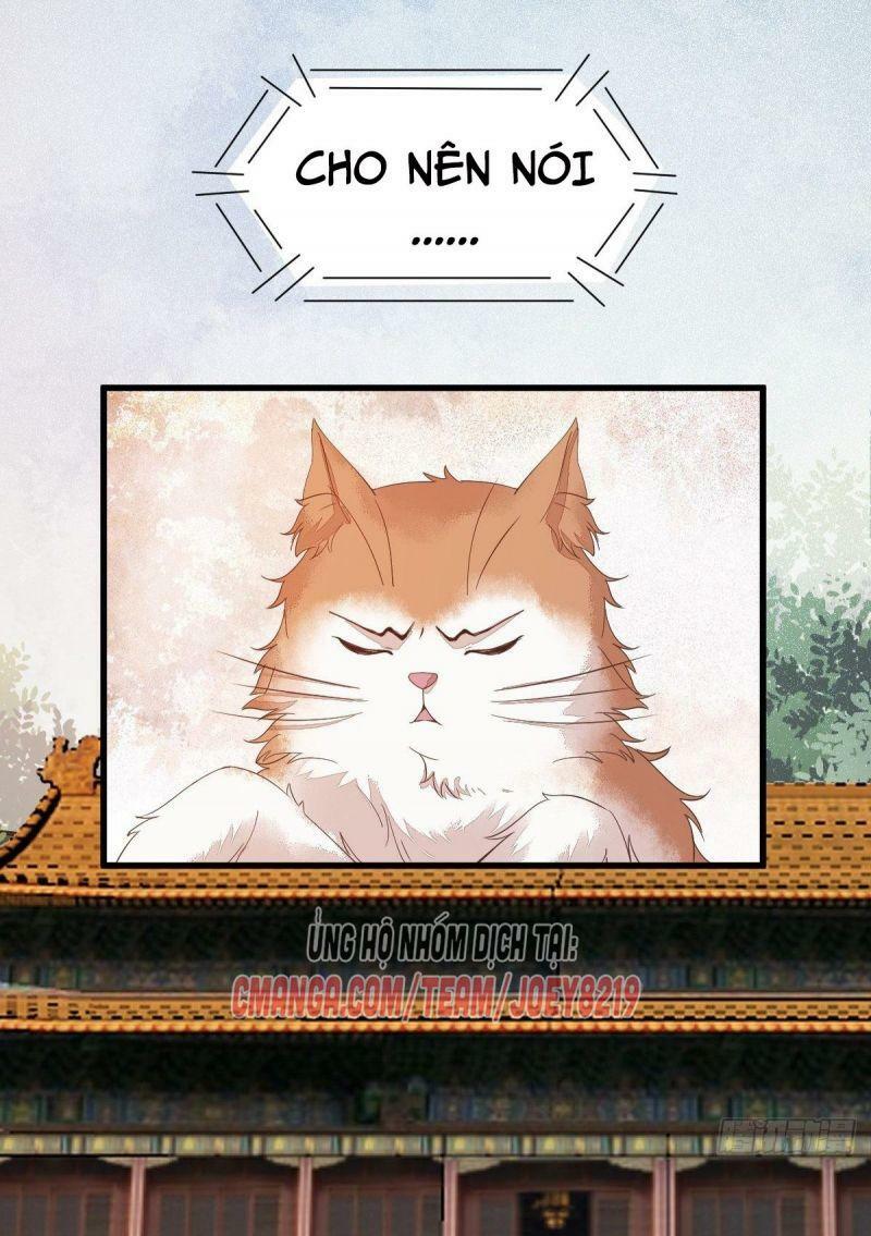 Sát Thủ Vương Phi Không Dễ Chọc Chapter 47 - Next Chapter 48