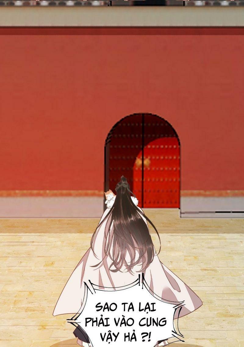 Sát Thủ Vương Phi Không Dễ Chọc Chapter 47 - Next Chapter 48