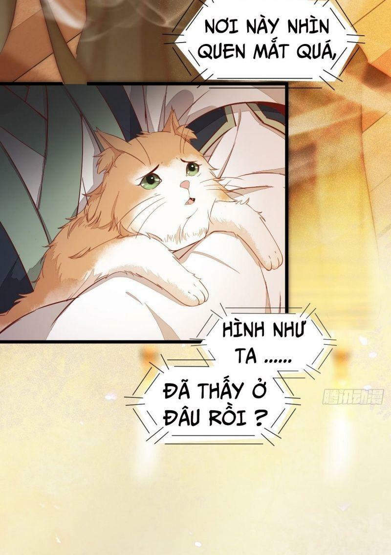 Sát Thủ Vương Phi Không Dễ Chọc Chapter 47 - Next Chapter 48