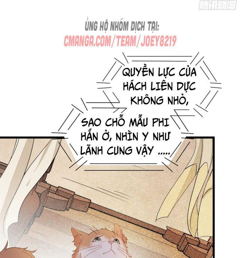 Sát Thủ Vương Phi Không Dễ Chọc Chapter 47 - Next Chapter 48