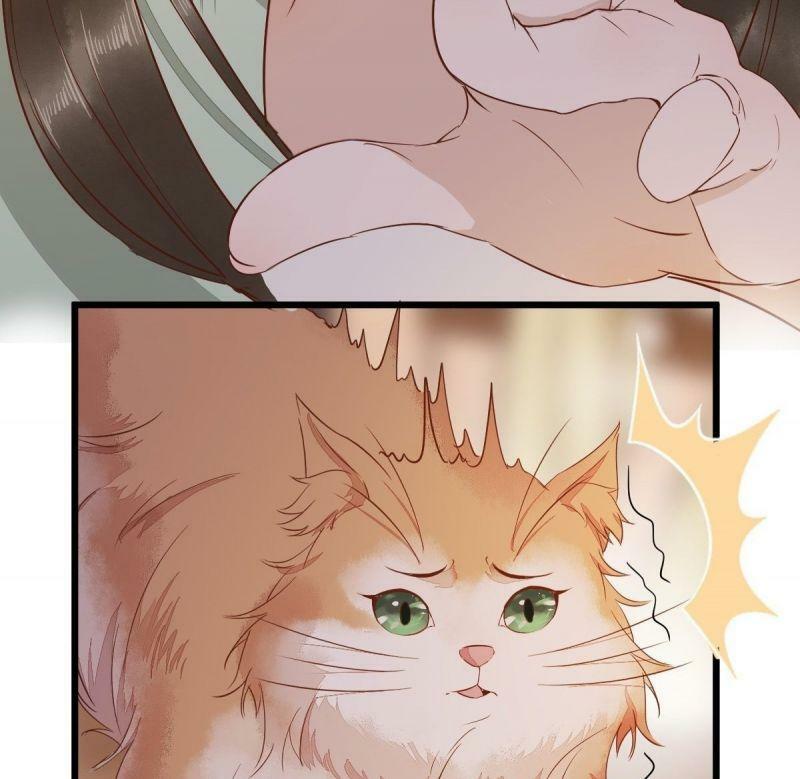 Sát Thủ Vương Phi Không Dễ Chọc Chapter 47 - Next Chapter 48