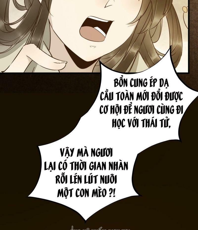 Sát Thủ Vương Phi Không Dễ Chọc Chapter 48 - Next Chapter 49