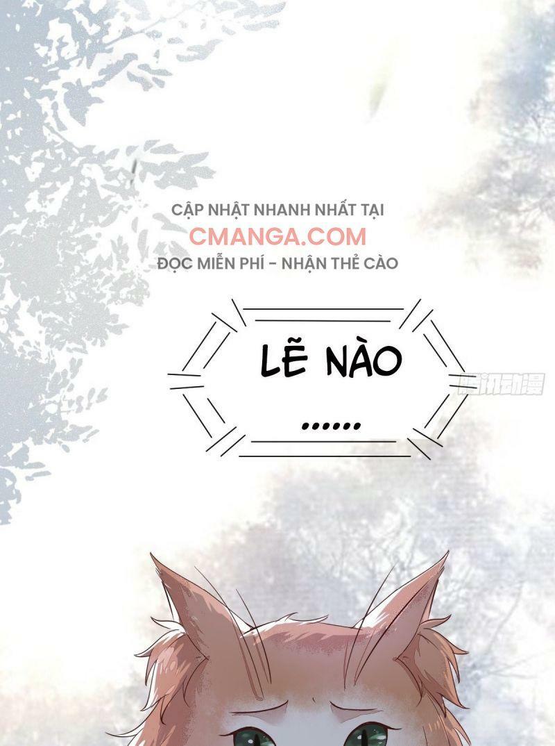 Sát Thủ Vương Phi Không Dễ Chọc Chapter 48 - Next Chapter 49