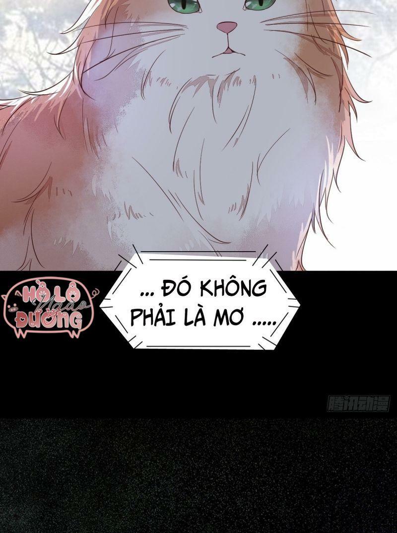 Sát Thủ Vương Phi Không Dễ Chọc Chapter 48 - Next Chapter 49