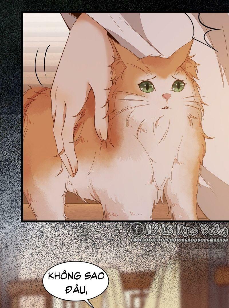 Sát Thủ Vương Phi Không Dễ Chọc Chapter 48 - Next Chapter 49