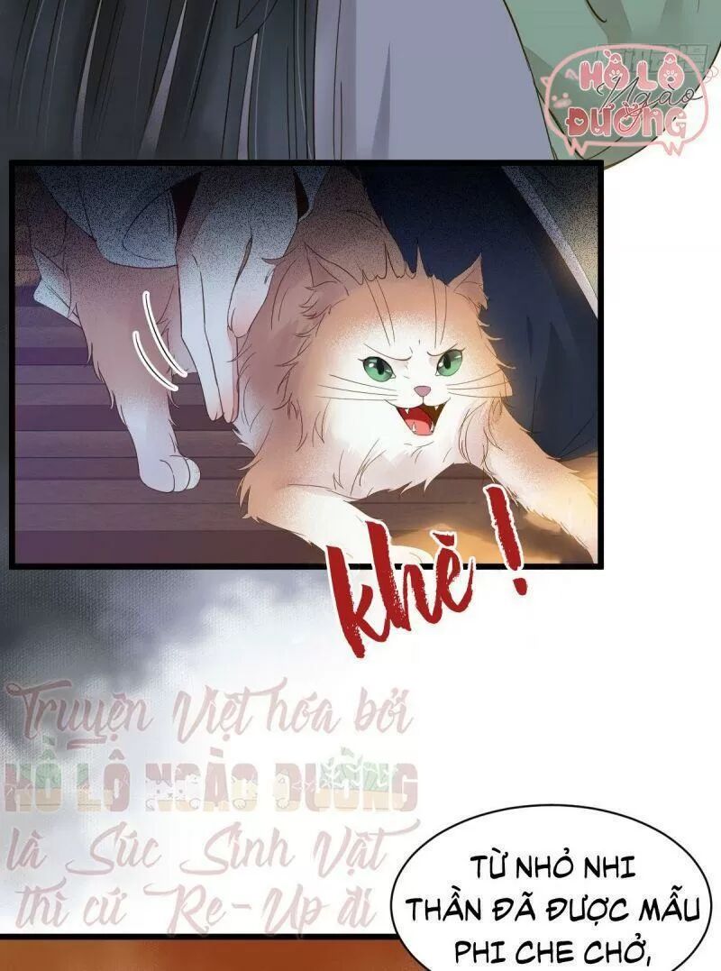 Sát Thủ Vương Phi Không Dễ Chọc Chapter 49 - Next Chapter 50