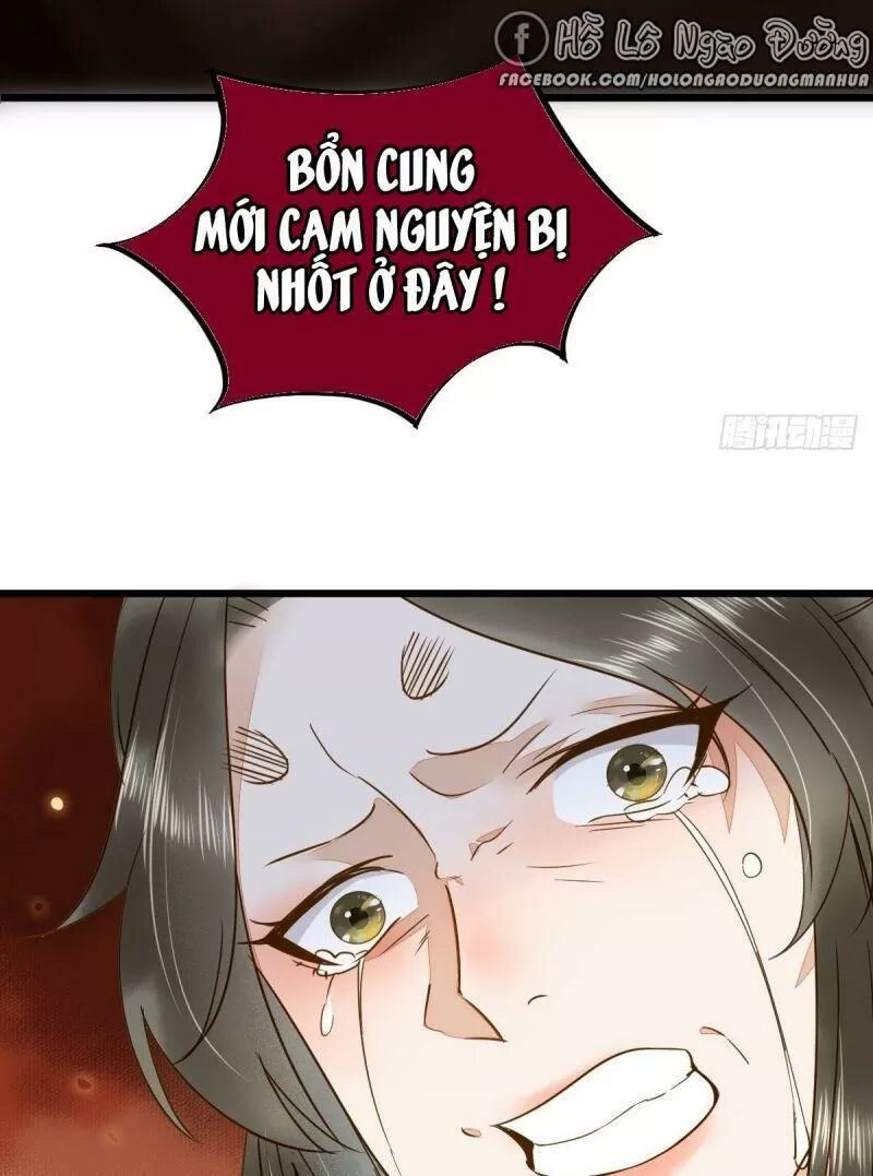 Sát Thủ Vương Phi Không Dễ Chọc Chapter 49 - Next Chapter 50