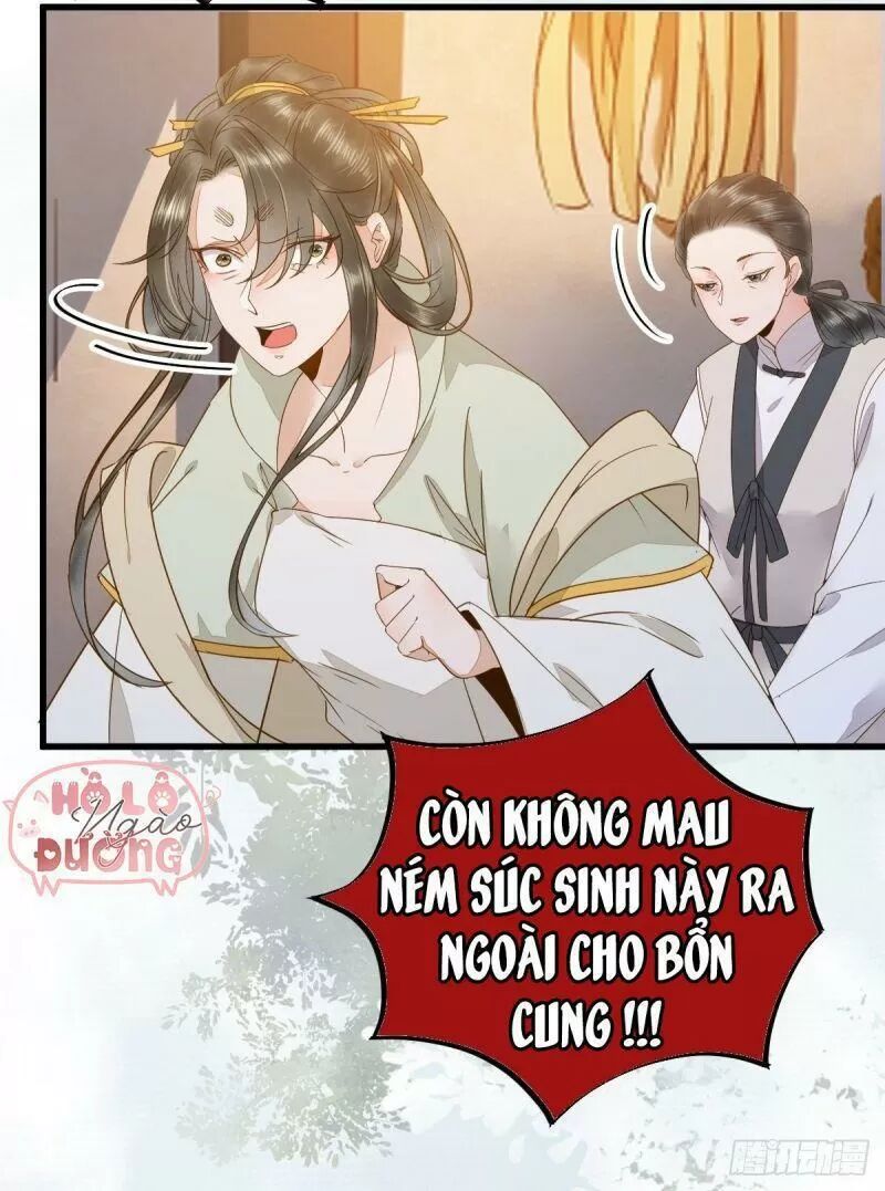 Sát Thủ Vương Phi Không Dễ Chọc Chapter 49 - Next Chapter 50