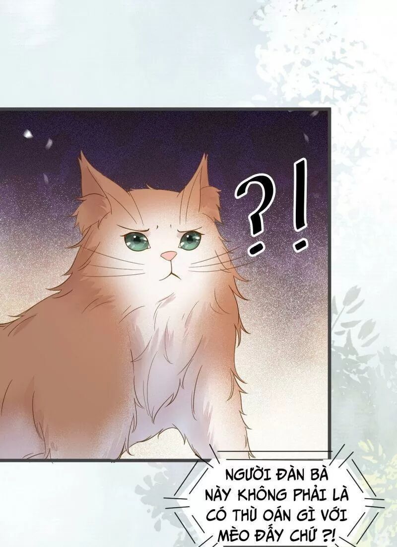 Sát Thủ Vương Phi Không Dễ Chọc Chapter 49 - Next Chapter 50