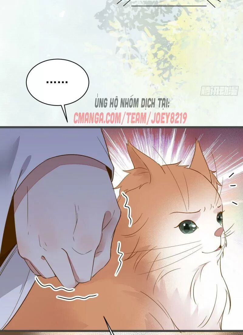 Sát Thủ Vương Phi Không Dễ Chọc Chapter 49 - Next Chapter 50