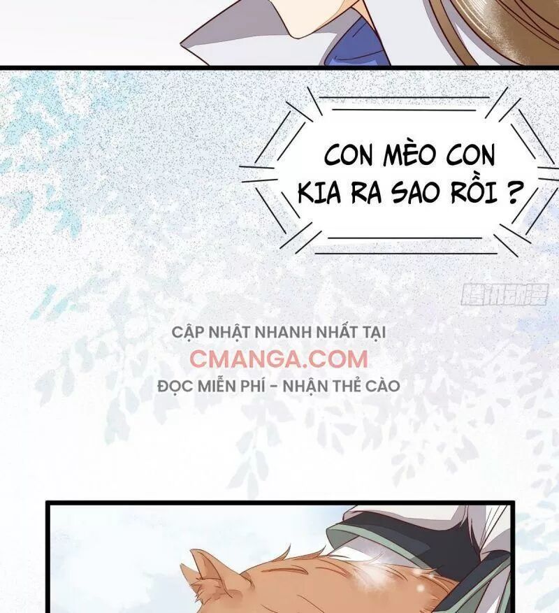 Sát Thủ Vương Phi Không Dễ Chọc Chapter 49 - Next Chapter 50