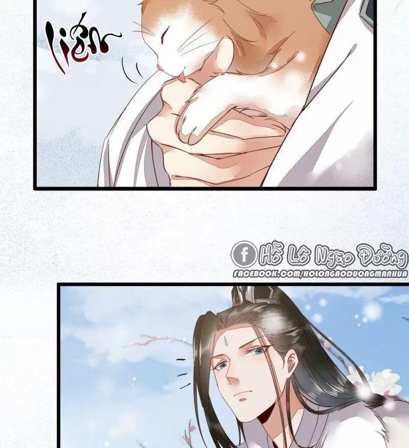 Sát Thủ Vương Phi Không Dễ Chọc Chapter 49 - Next Chapter 50