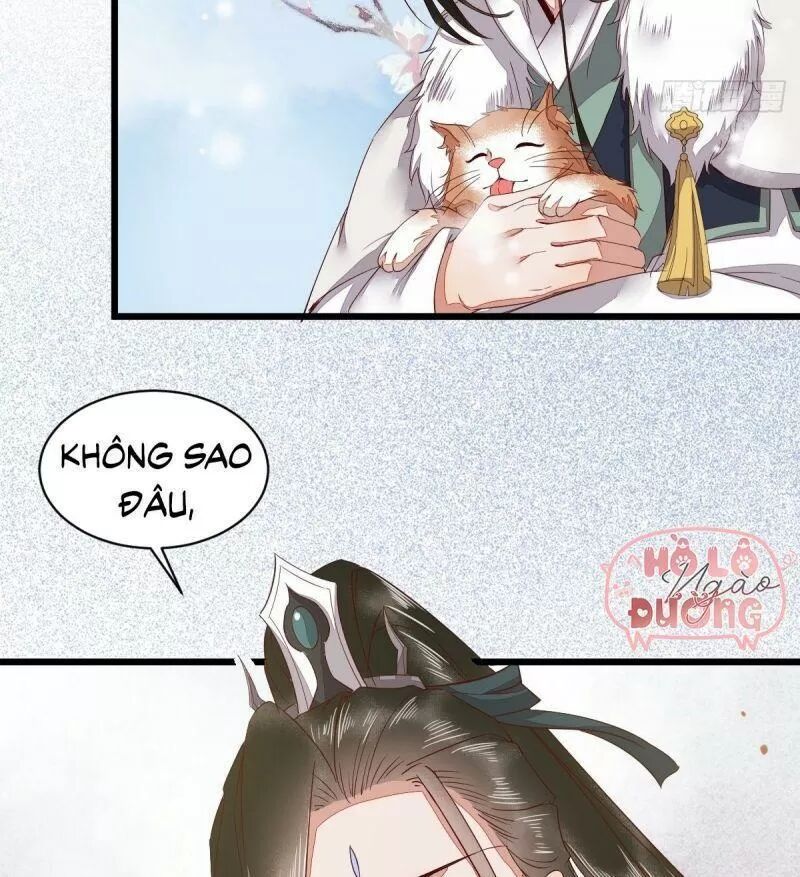 Sát Thủ Vương Phi Không Dễ Chọc Chapter 49 - Next Chapter 50