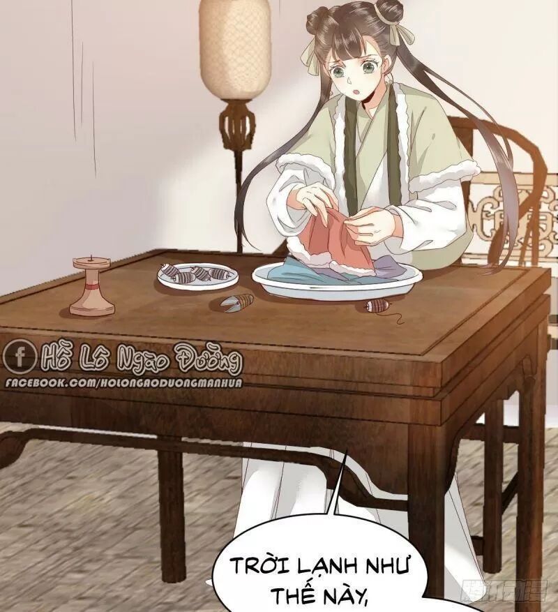 Sát Thủ Vương Phi Không Dễ Chọc Chapter 49 - Next Chapter 50