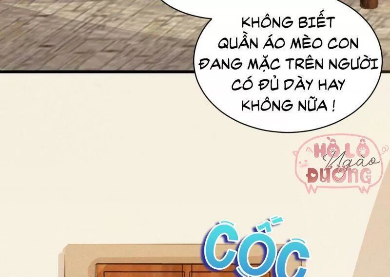 Sát Thủ Vương Phi Không Dễ Chọc Chapter 49 - Next Chapter 50