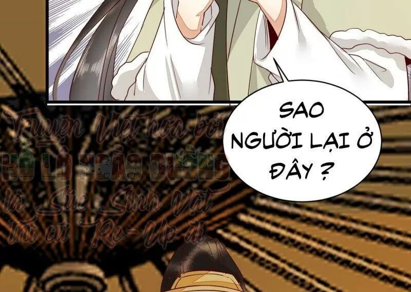 Sát Thủ Vương Phi Không Dễ Chọc Chapter 49 - Next Chapter 50