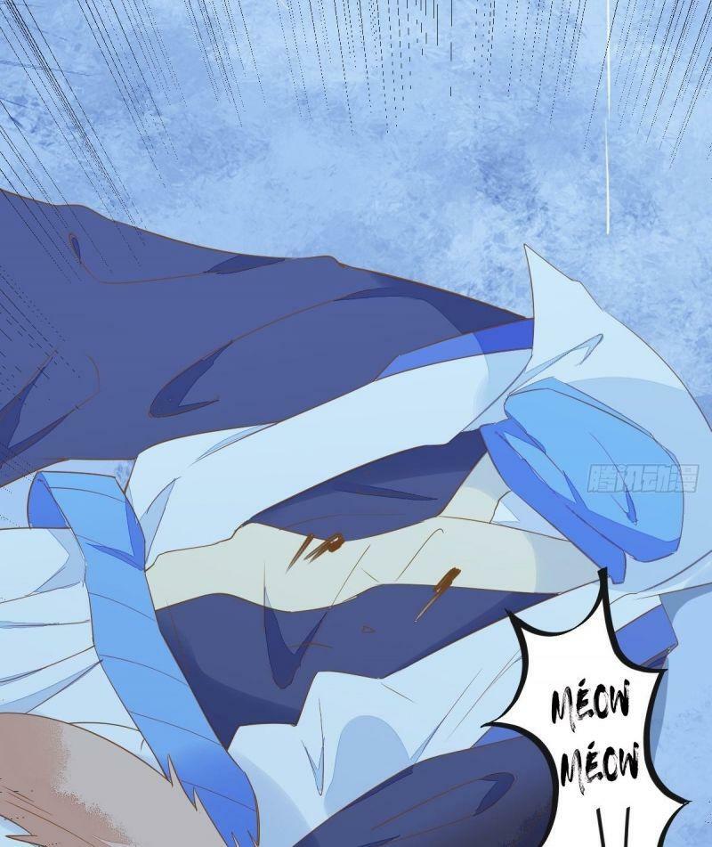 Sát Thủ Vương Phi Không Dễ Chọc Chapter 51 - Next Chapter 52