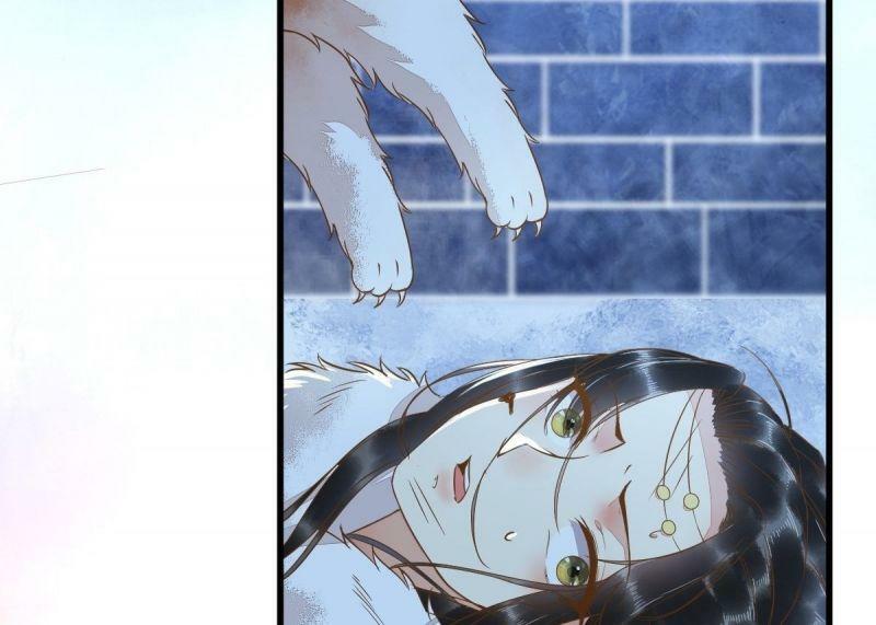 Sát Thủ Vương Phi Không Dễ Chọc Chapter 51 - Next Chapter 52