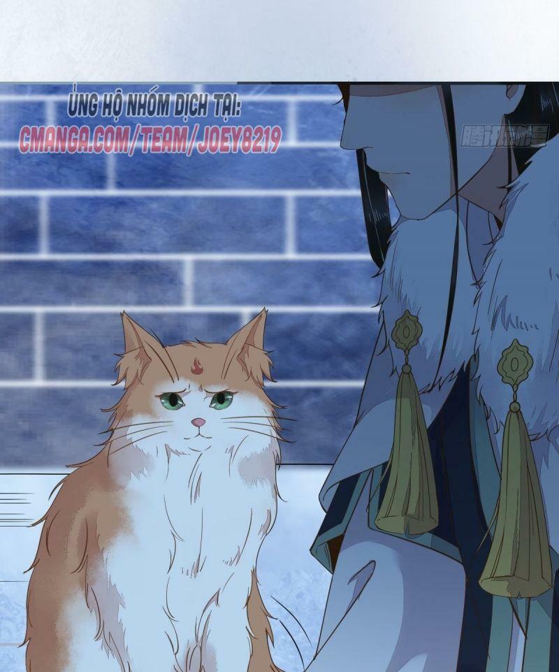 Sát Thủ Vương Phi Không Dễ Chọc Chapter 52 43