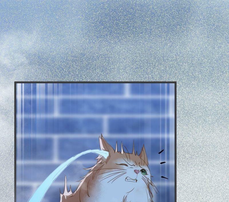 Sát Thủ Vương Phi Không Dễ Chọc Chapter 52 46