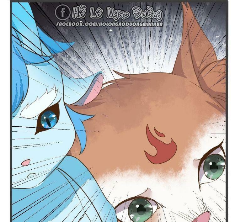 Sát Thủ Vương Phi Không Dễ Chọc Chapter 52 51