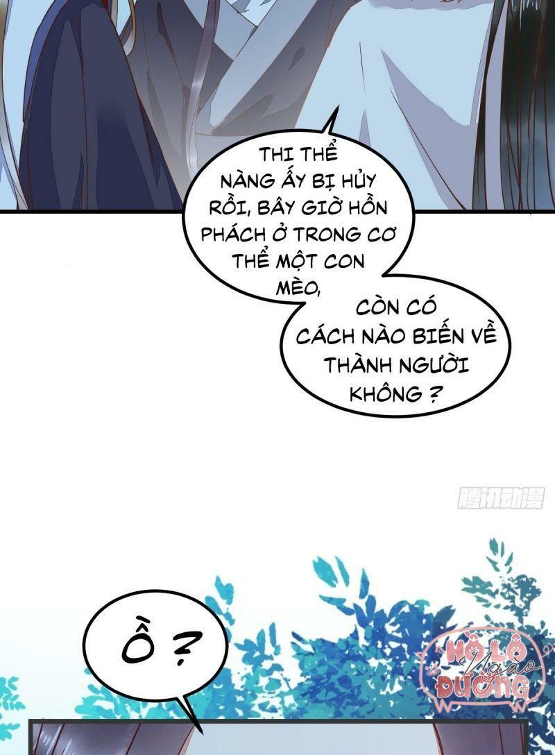 Sát Thủ Vương Phi Không Dễ Chọc Chapter 54 - Next Chapter 55