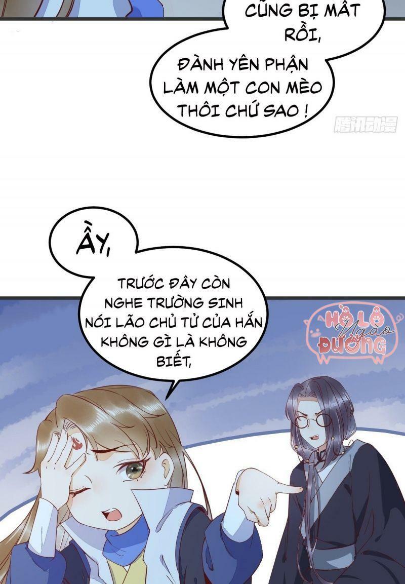 Sát Thủ Vương Phi Không Dễ Chọc Chapter 54 - Next Chapter 55