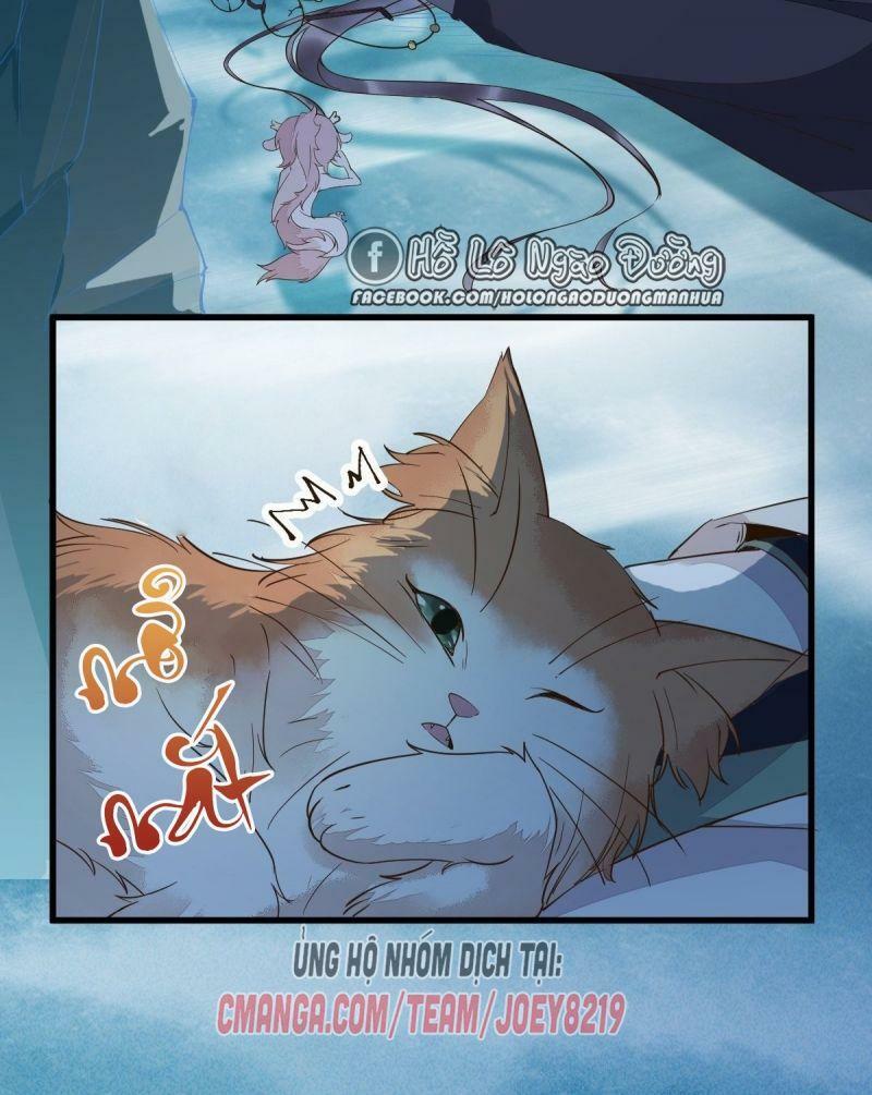 Sát Thủ Vương Phi Không Dễ Chọc Chapter 55 - Next Chapter 56