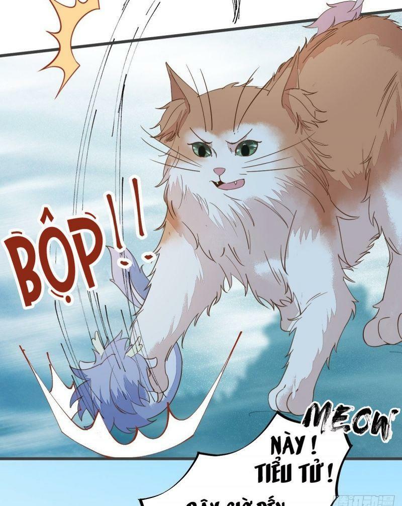 Sát Thủ Vương Phi Không Dễ Chọc Chapter 55 - Next Chapter 56
