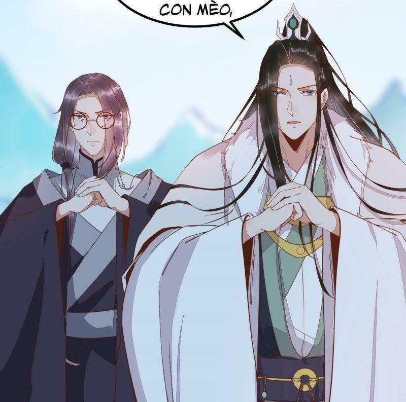 Sát Thủ Vương Phi Không Dễ Chọc Chapter 55 - Next Chapter 56