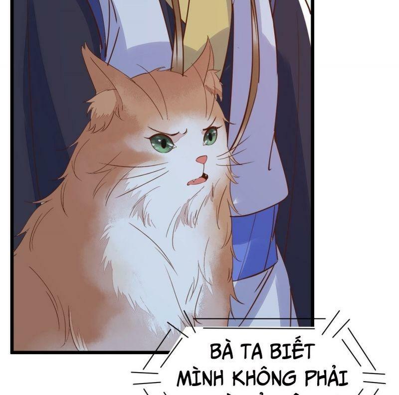 Sát Thủ Vương Phi Không Dễ Chọc Chapter 55 - Next Chapter 56