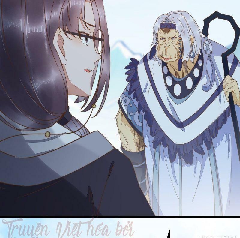 Sát Thủ Vương Phi Không Dễ Chọc Chapter 55 - Next Chapter 56