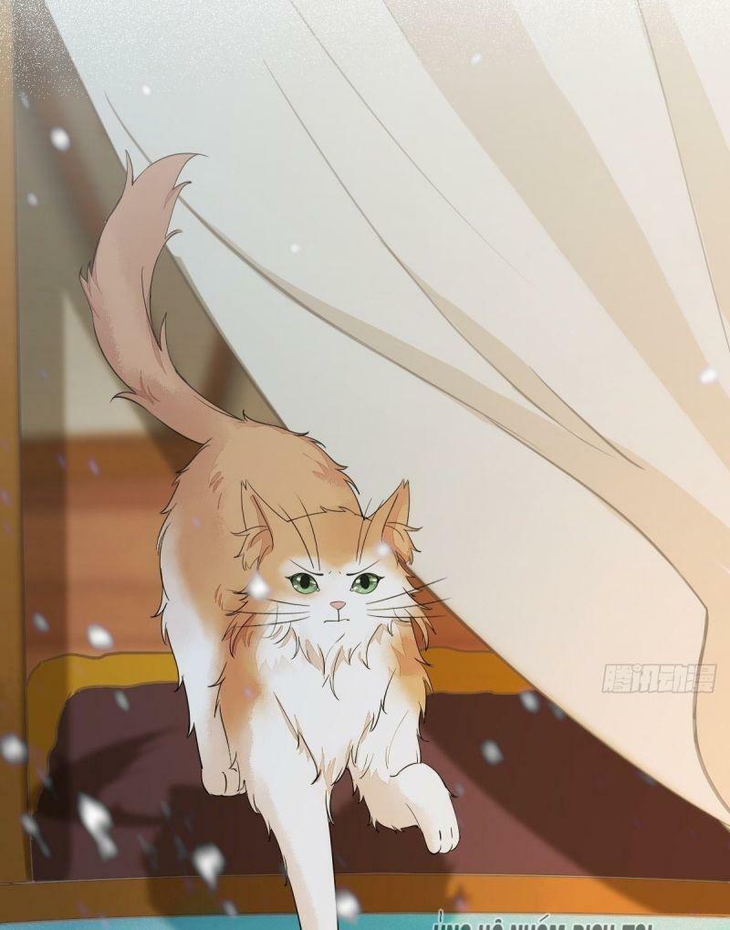 Sát Thủ Vương Phi Không Dễ Chọc Chapter 57 - Next Chapter 58