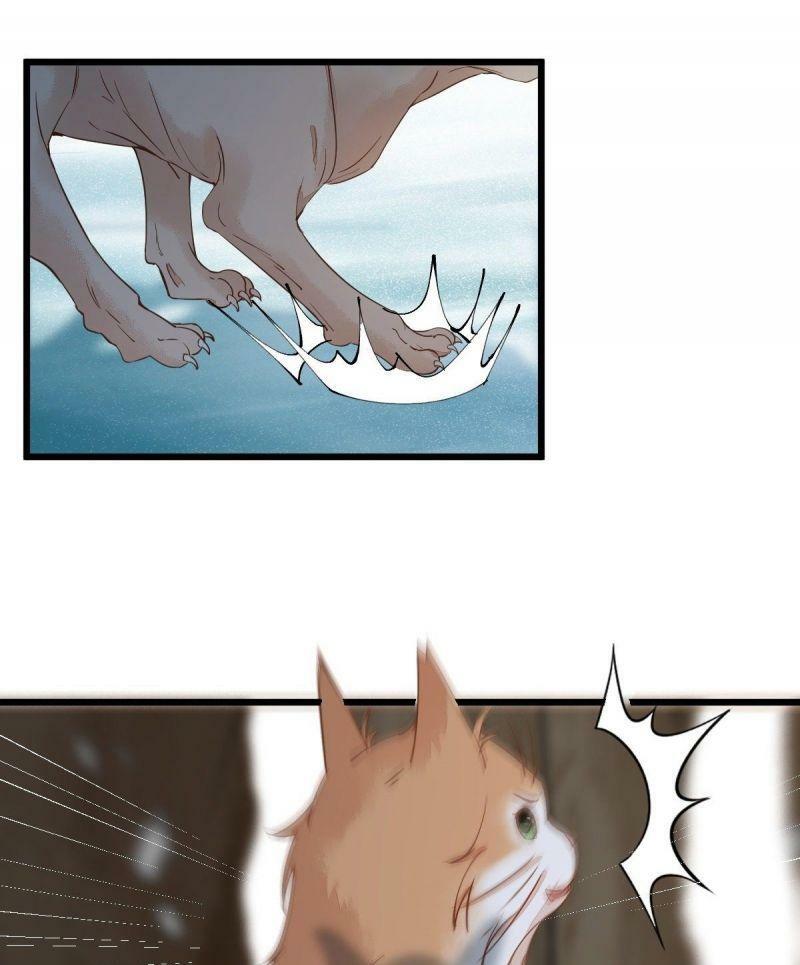 Sát Thủ Vương Phi Không Dễ Chọc Chapter 57 - Next Chapter 58