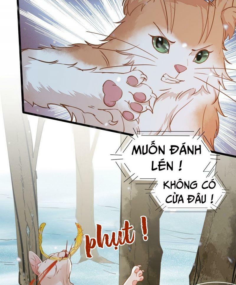 Sát Thủ Vương Phi Không Dễ Chọc Chapter 57 - Next Chapter 58