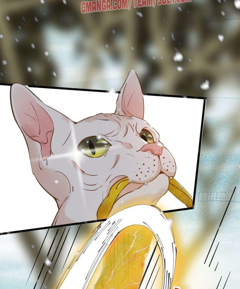 Sát Thủ Vương Phi Không Dễ Chọc Chapter 57 - Next Chapter 58