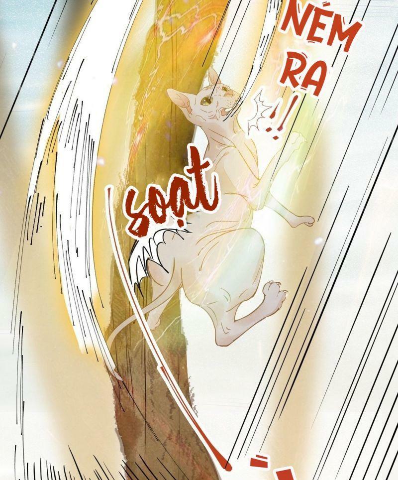 Sát Thủ Vương Phi Không Dễ Chọc Chapter 57 - Next Chapter 58